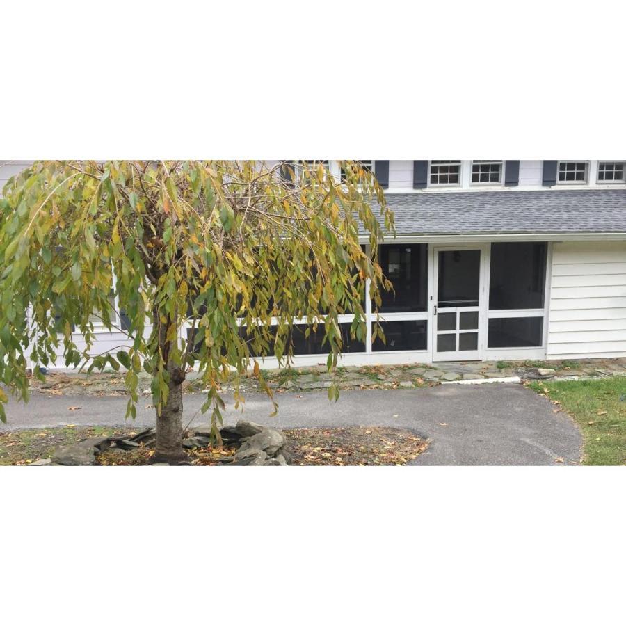ריינבק Interlake Rv Park & Campground מראה חיצוני תמונה